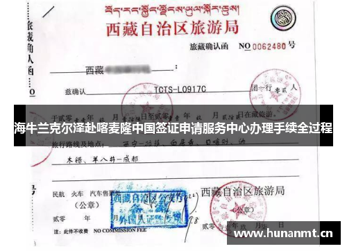 海牛兰克尔泽赴喀麦隆中国签证申请服务中心办理手续全过程